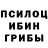 Галлюциногенные грибы Psilocybe RiNkA KIT