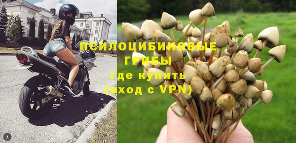 первитин Снежинск