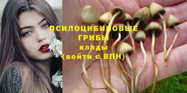 не бодяженный Балахна